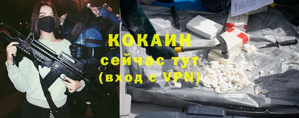 хмурый Алексин