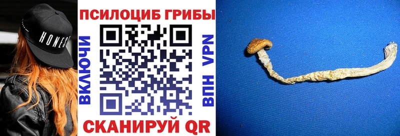 Псилоцибиновые грибы Psilocybine cubensis Спасск
