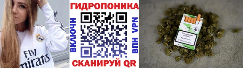 Бошки марихуана THC 21%  MEGA ТОР  Спасск 